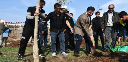 SİVEREK'TE 11 KASIM MİLLİ AĞAÇLANDIRMA GÜNÜ ETKİNLİĞİ