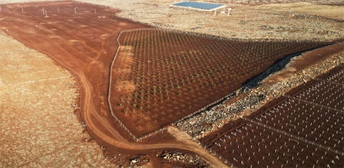 SİVEREK'TE MİLLET MEYVE BAHÇELERİ PROJESİNDE İKİNCİ ETAP BAŞLADI