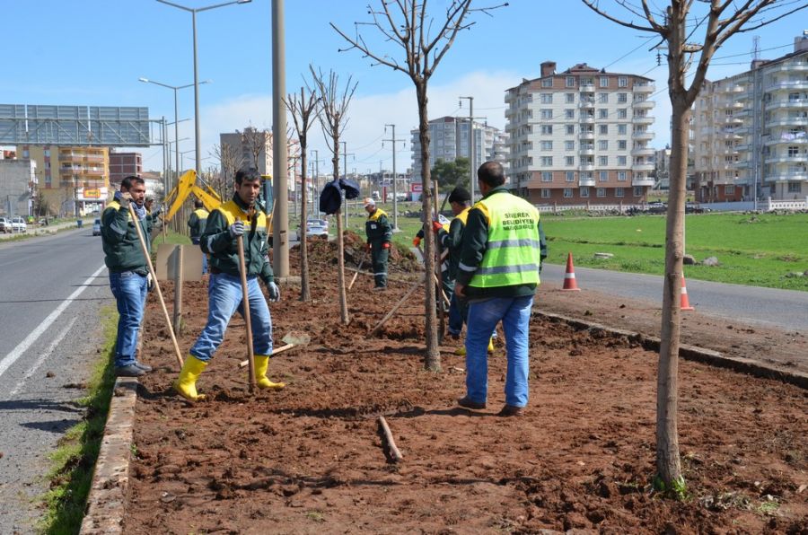 Belediye Park Ve Bahçeler Müdürlüğü Çalışmaları Devam Ediyor
