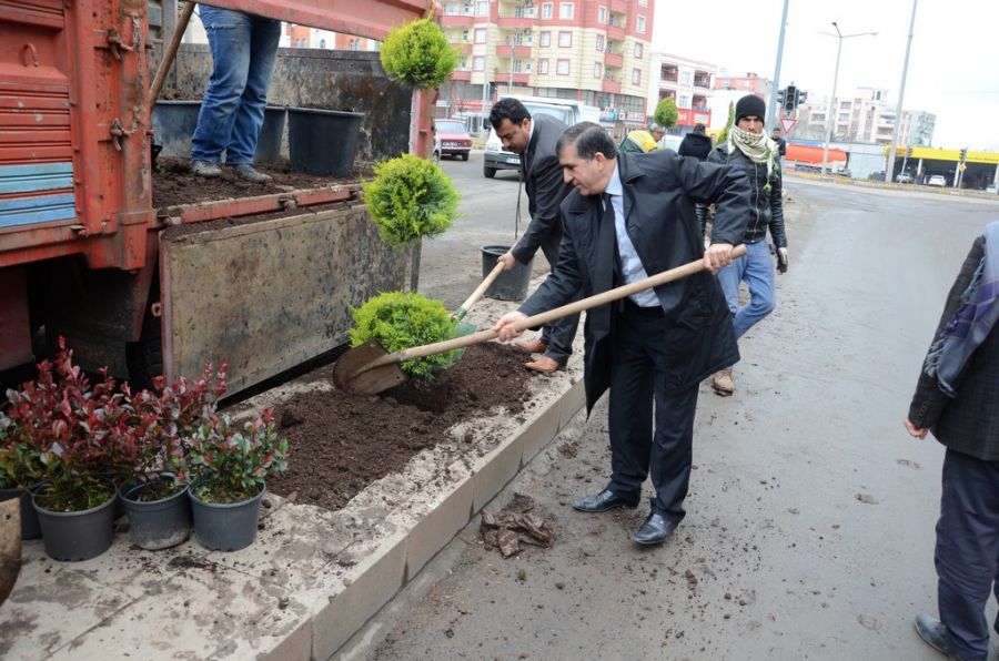 Siverek Belediye Başkan Vekili ile Başkan Yardımcısı ağaç dikti